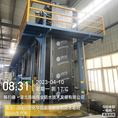 弹性体改性沥青耐根穿刺防水卷材