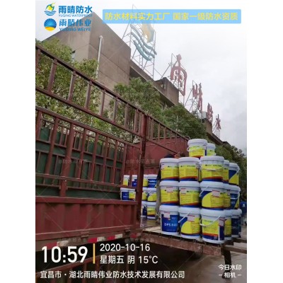 DPS永凝液防水涂料