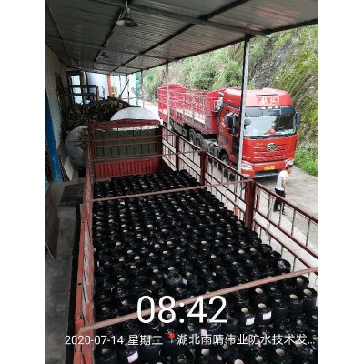 蠕变型高分子橡胶沥青防水卷材