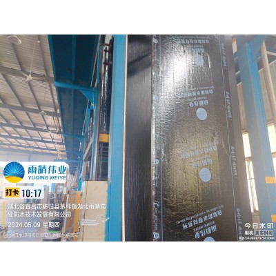 耐候型SBS改性沥青防水卷材