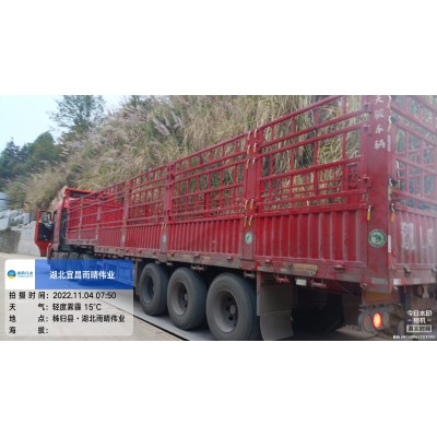 高强度耐根穿刺SBS改性沥青防水卷材