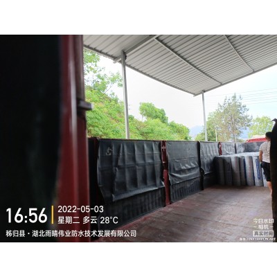 耐根穿刺SBS改性沥青防水卷材