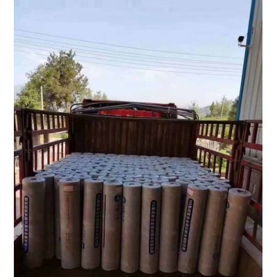 耐根穿刺复合铜胎基SBS改性沥青防水卷材