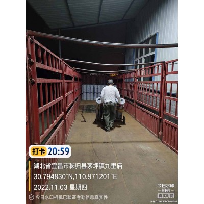 自粘聚合物改性沥青防水卷材冷施工