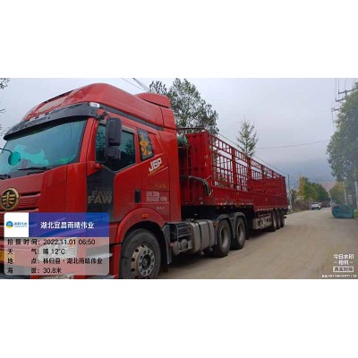 耐候型铝箔面防水卷材图1