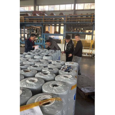 耐根穿刺SBS改性沥青防水卷材图1