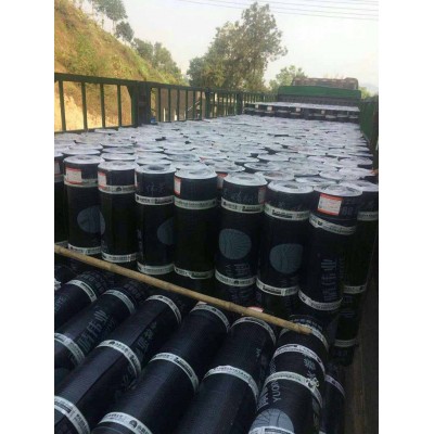 耐候型铝箔防水卷材图1