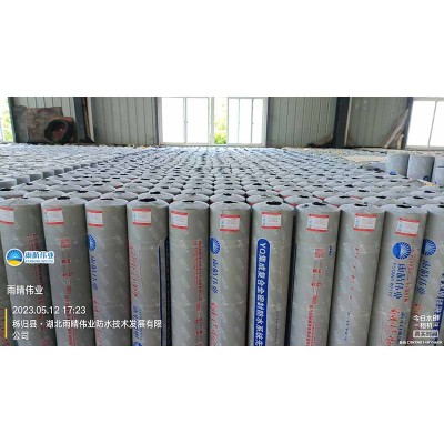 耐根穿刺铝箔面防水卷材图1