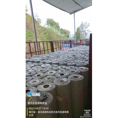 耐候型铝箔SBS防水卷材图1