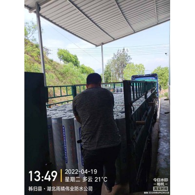 APP耐候型改性沥青防水卷材图1