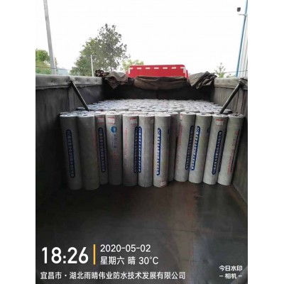 耐候型铝箔面防水卷材图1