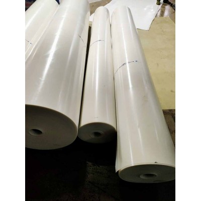 耐根穿刺聚氯乙烯（PVC）防水卷材图1