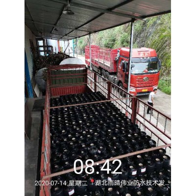 耐根穿刺防水卷材 种植屋面应用