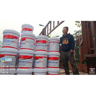 室内家装JS聚合物水泥防水涂料