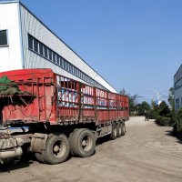 道路用抗裂卷材关键技术参数