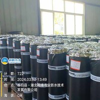 耐根穿刺型SBS改性沥青防水卷材