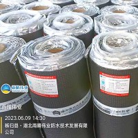 道桥用SBS改性沥青防水卷材
