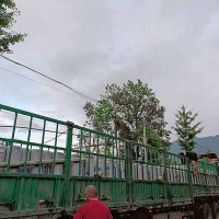 APP改性沥青防水卷材