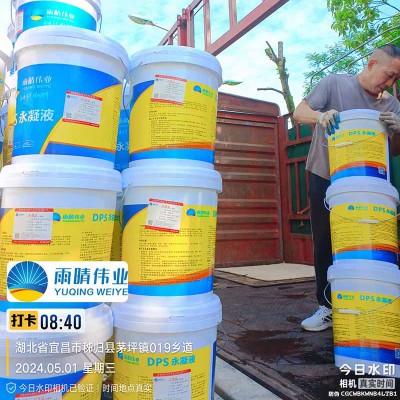 桥梁结构用DPS永凝液防水剂图1