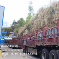 道路用聚酯玻纤抗裂卷材