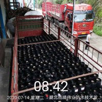 耐候型SBS改性沥青防水卷材
