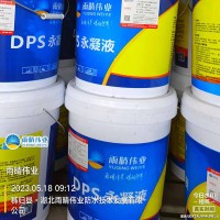 桥梁专用DPS永凝液防水剂