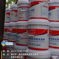 室内环保型JS聚合物水泥防水涂料