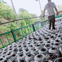 高反射铝箔面防水卷材