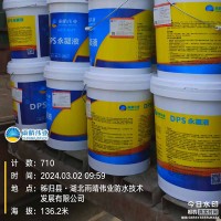 桥梁用DPS永凝液防水剂