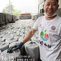 耐盐碱SBS改性沥青防水卷材