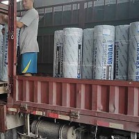 耐根穿刺APP改性沥青防水卷材