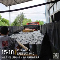 玻纤胎SBS改性沥青防水卷材