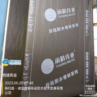玻纤胎APP改性沥青防水卷材