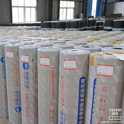 耐根穿刺SBS改性沥青防水卷材图1