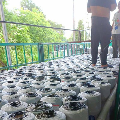 耐根穿刺SBS改性沥青防水卷材图1