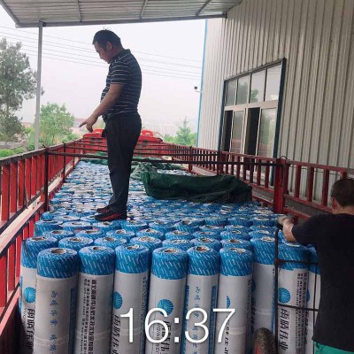 道路用抗裂卷材图1