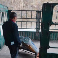 道路用抗裂卷材