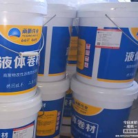 液体卷材冷施工防水涂层系统