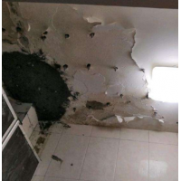 桥面防水项目设备配套招募合伙人