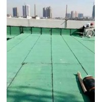 桥梁防水维修用高强度涂料的选型要点