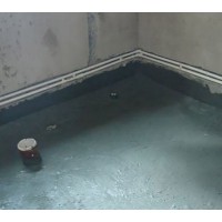 彩钢瓦屋面漏水点喷涂加固维修方案