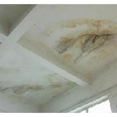 宜昌点军区楼顶漏水维修公司正规靠谱图1