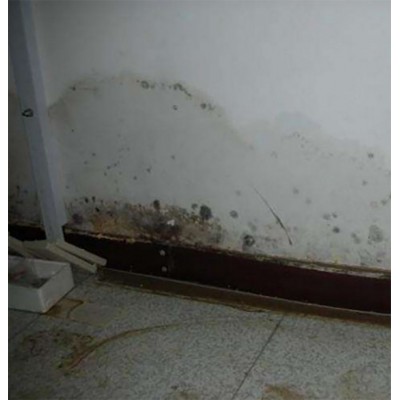 宜昌点军区屋面防水工程师傅上门速度快图1